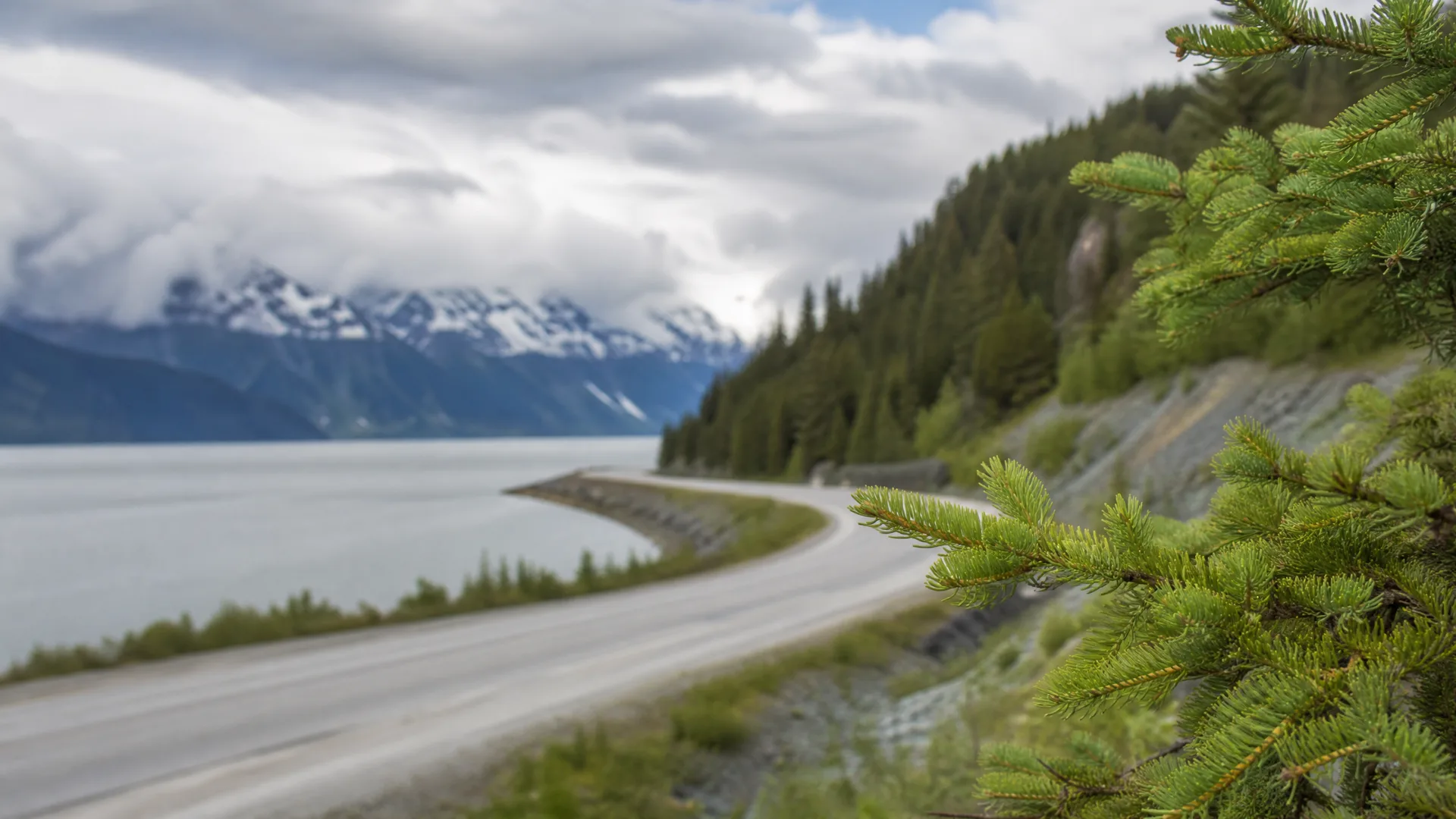 A curving paved road runs along a shoreline below forested slopes, with snow-capped mountains under low clouds in the distance and spruce branches in the foreground.