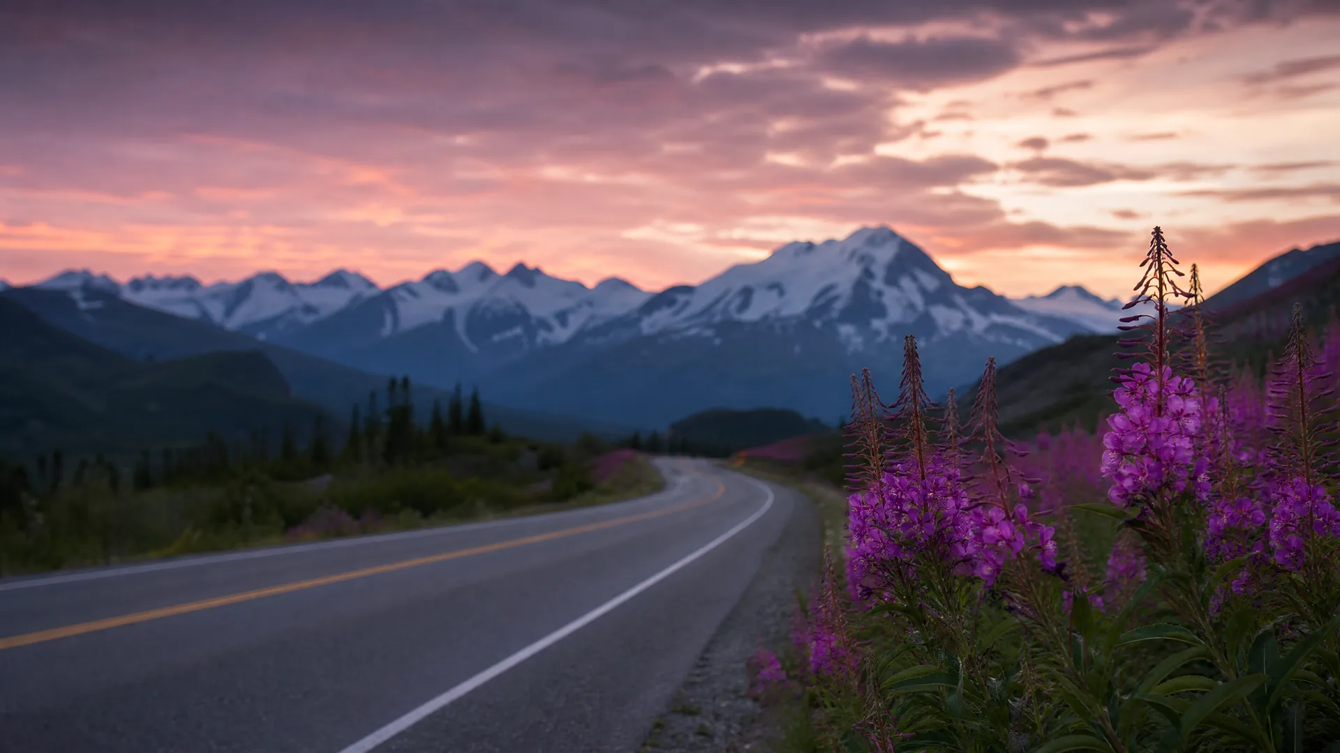 A two-lane paved road with a yellow center line curves toward snow-capped mountains under a pink and purple sunset sky, with magenta fireweed flowers in the foreground at right.